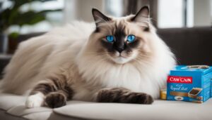 Read more about the article Royal Canin Ragdoll