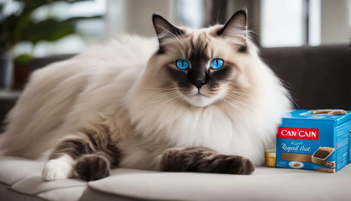 You are currently viewing Royal Canin Ragdoll
